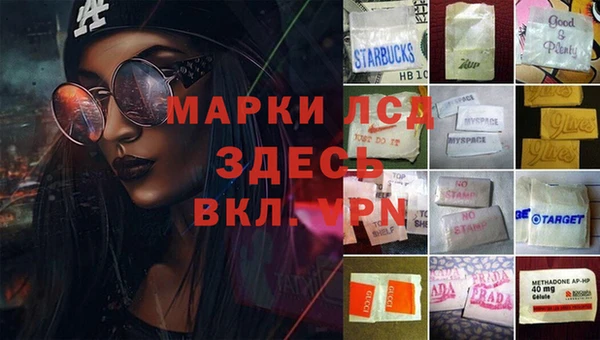мдпв Балахна